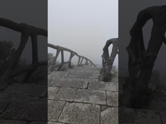 팀 조직을 위한 언덕을 오르느요